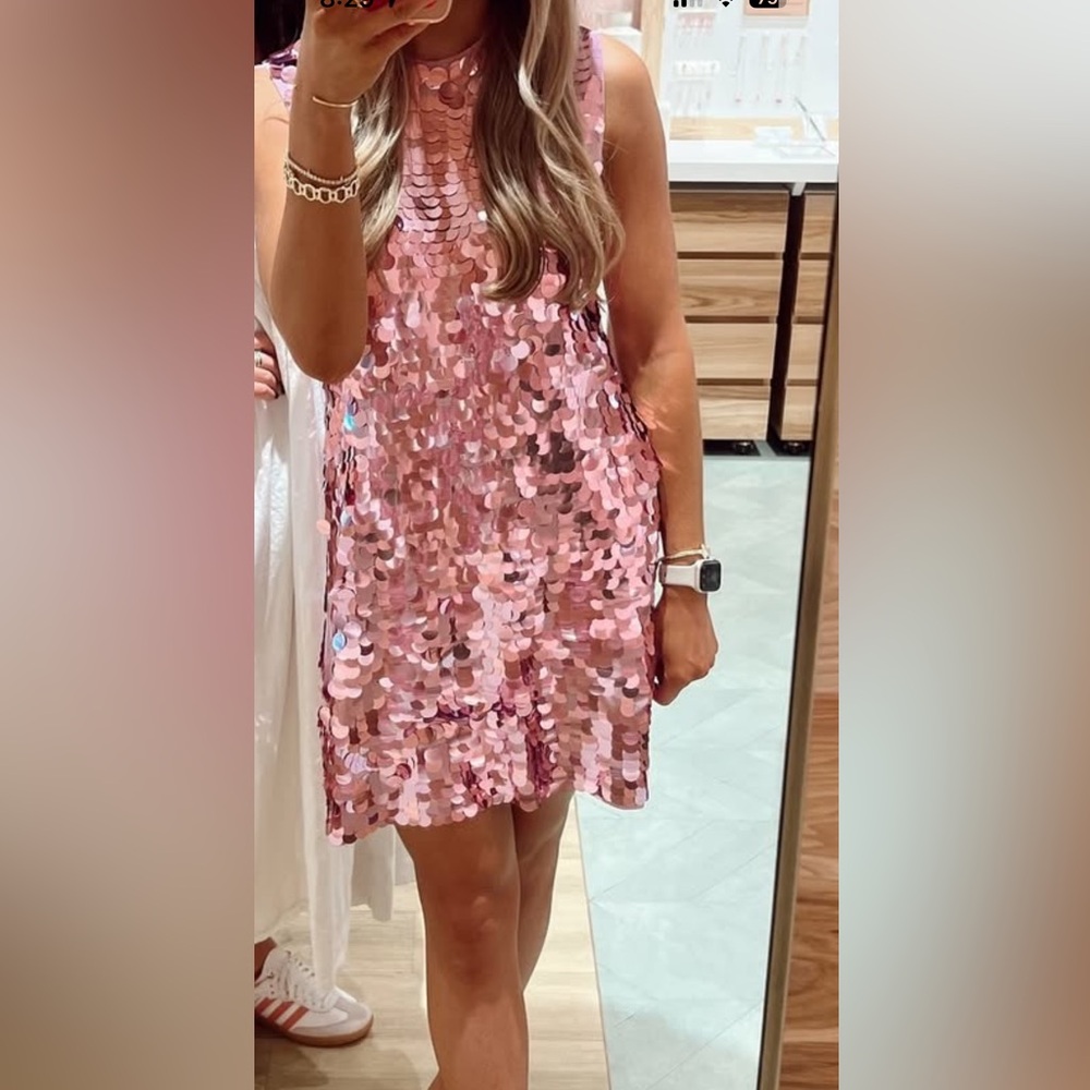 Zara Pink Sequin Knit Dress